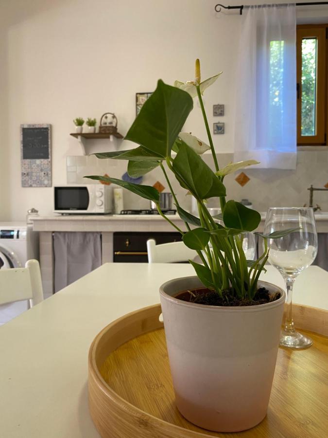Mondello Holiday Home Exterior foto